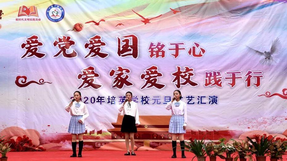 组装机械机甲暴龙2